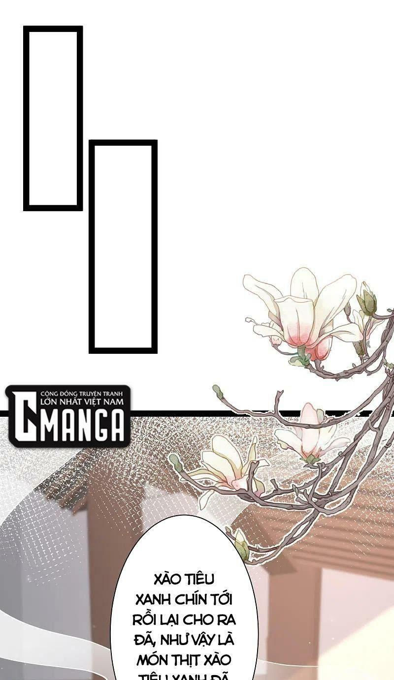 tối cường vận đào hoa chapter 254 1