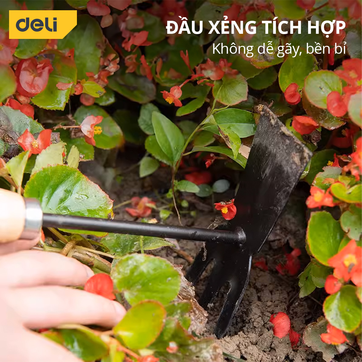 Bộ Dụng Cụ Làm Vườn 4 Món Cán Gỗ Chính Hãng DELI TOOLS - Xẻng, Quốc, Cào Đa Năng - Chất Liệu Cao Cấp, Chắc Chắn