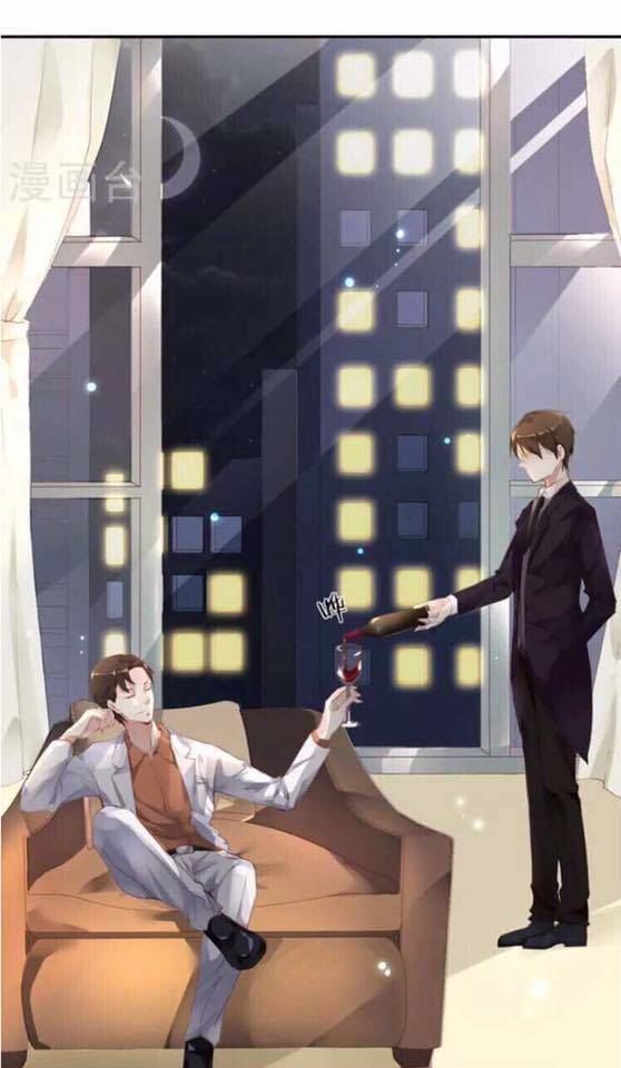 người vợ bí ẩn của tổng tài chapter 20.5 16