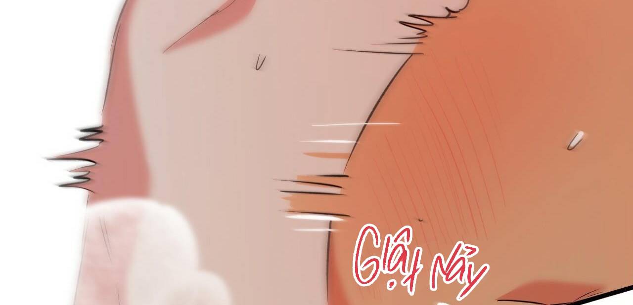 đàn thỏ của habibi chapter 54 195