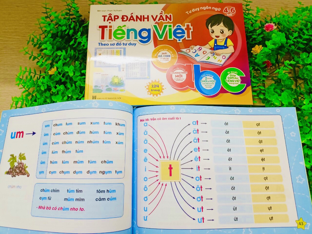 Tập đánh vàn Tiếng Việt theo sơ đồ tư duy