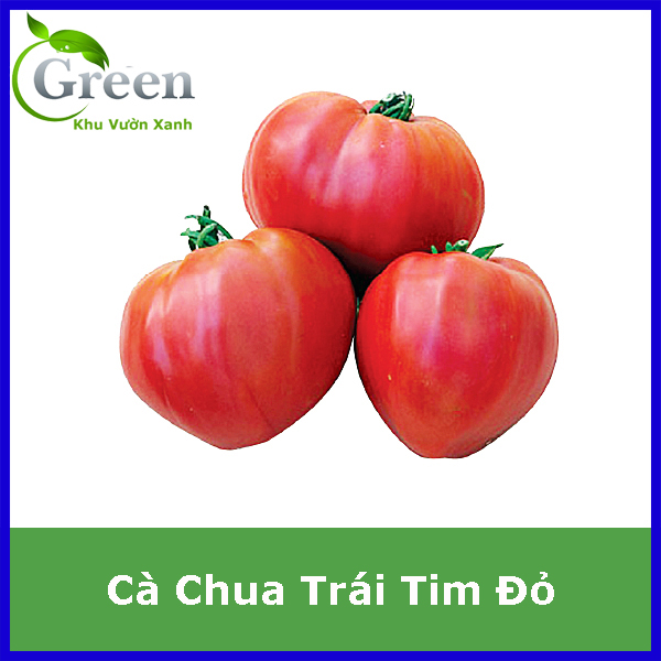 Hạt Giống Cà Chua Trái Tim Đỏ Chịu Nhiệt (KVX.004)