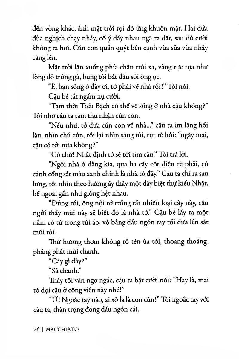 Sả Chanh Ngày Hạ