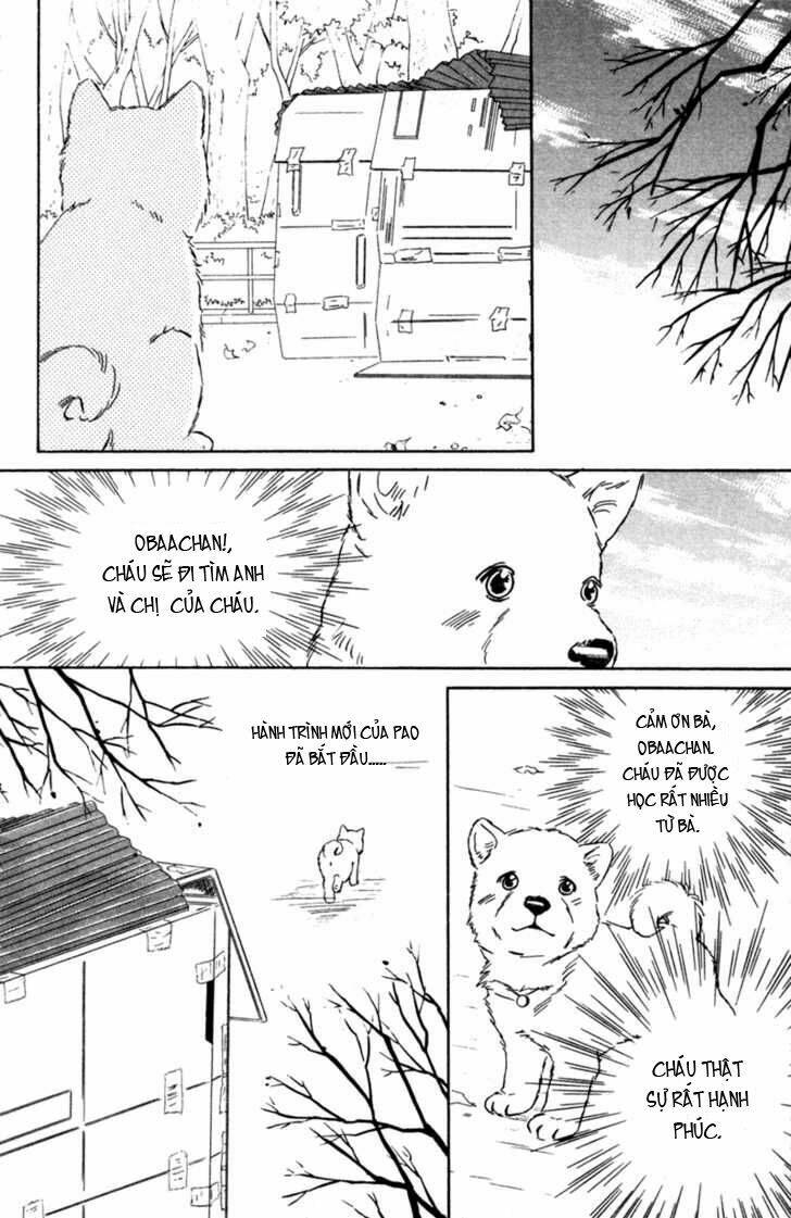 deep love - pao no monogatari chapter 3 34