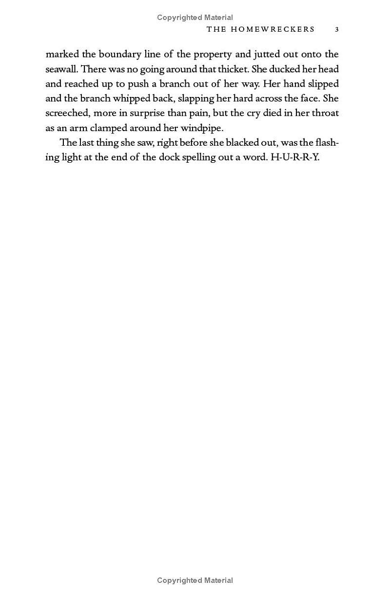 Sách ngoại văn: The Homewreckers