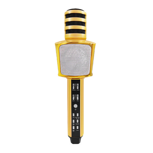 Micro karaoke Bluetooth có loa chính hãng 3 trong 1 PF165 SD17