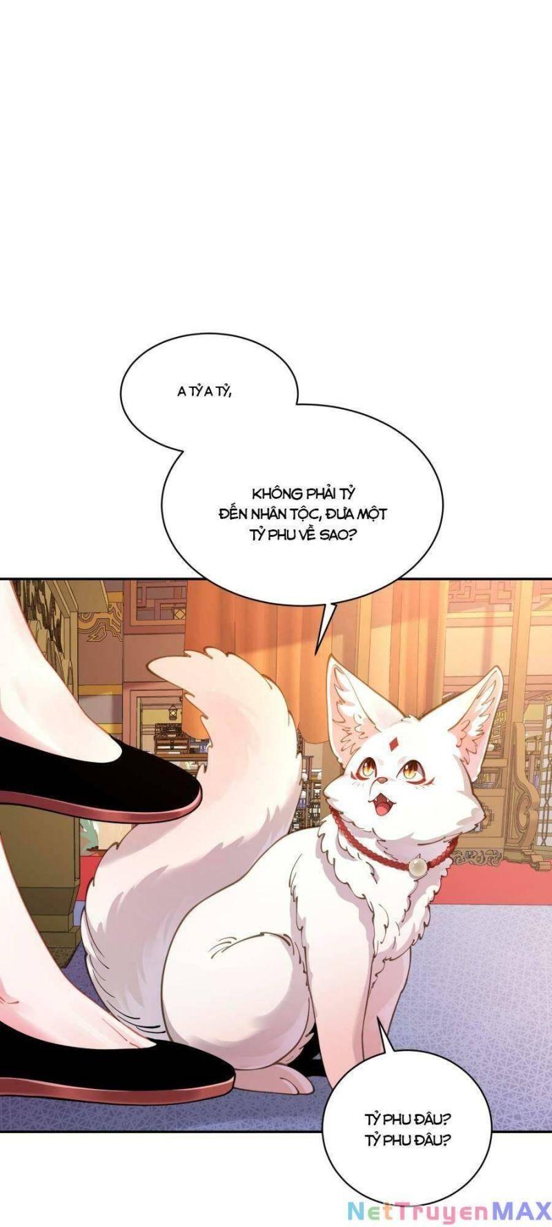 bói toán mà thôi, cửu vĩ yêu đế sao lại thành nương tử ta?! chapter 22 1