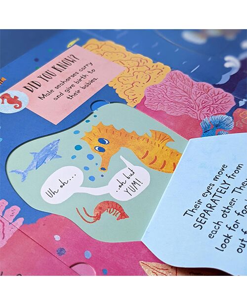 Laege Question and Answer Flap Book - Animals by  Rachel Moss