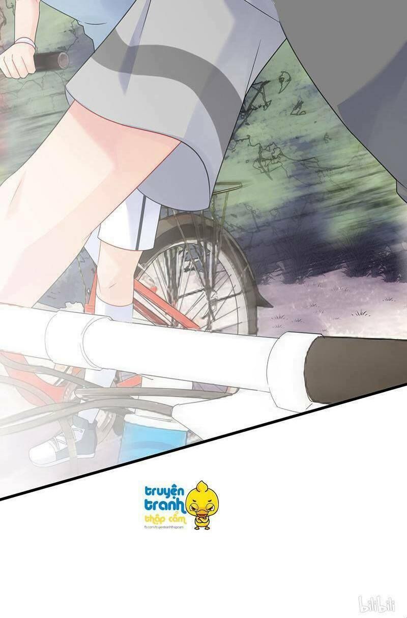 chọc tới chủ tịch tổng tài 2 chapter 62 27