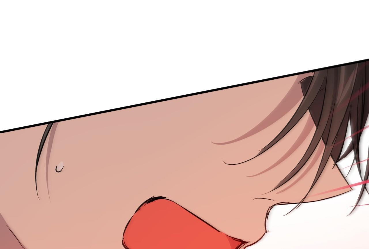 những chú thỏ của hapypy chapter 57 205