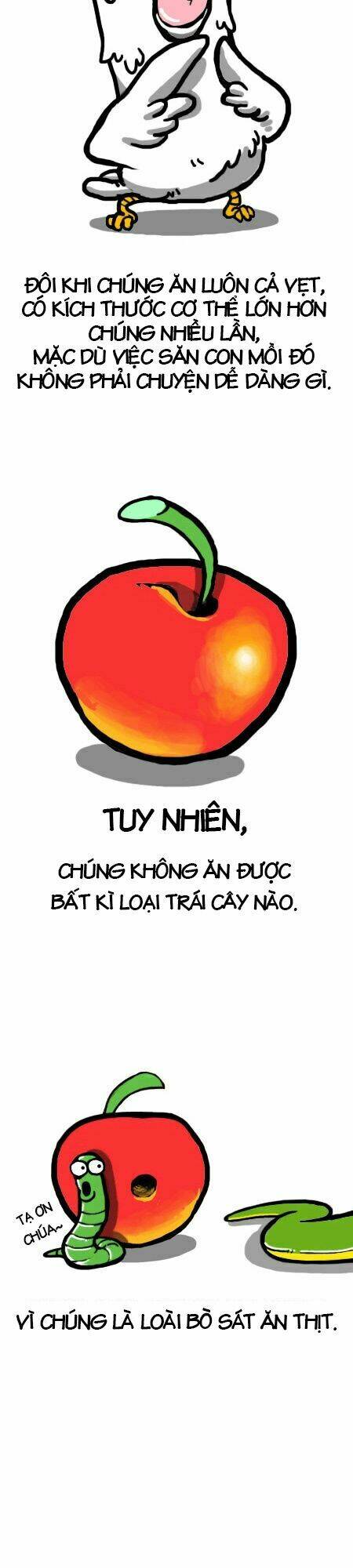 earth, human, and animal chapter 4 9