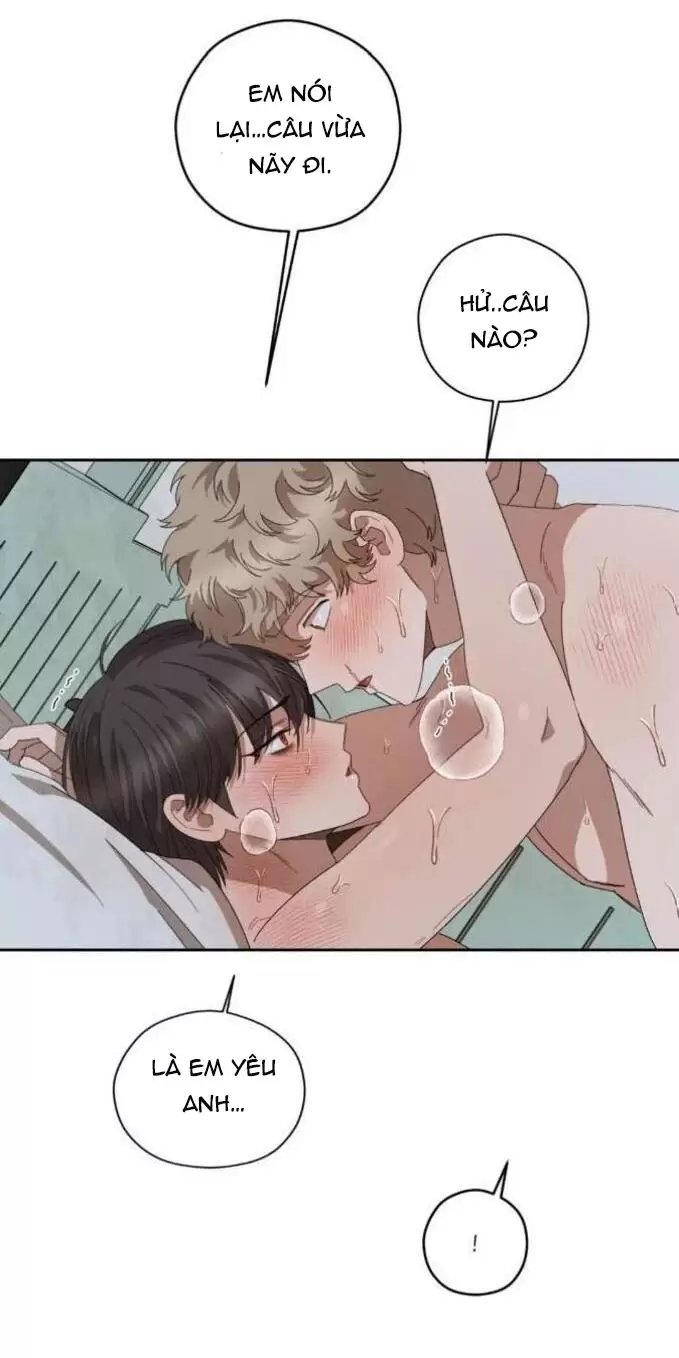 liveta chapter 32 34