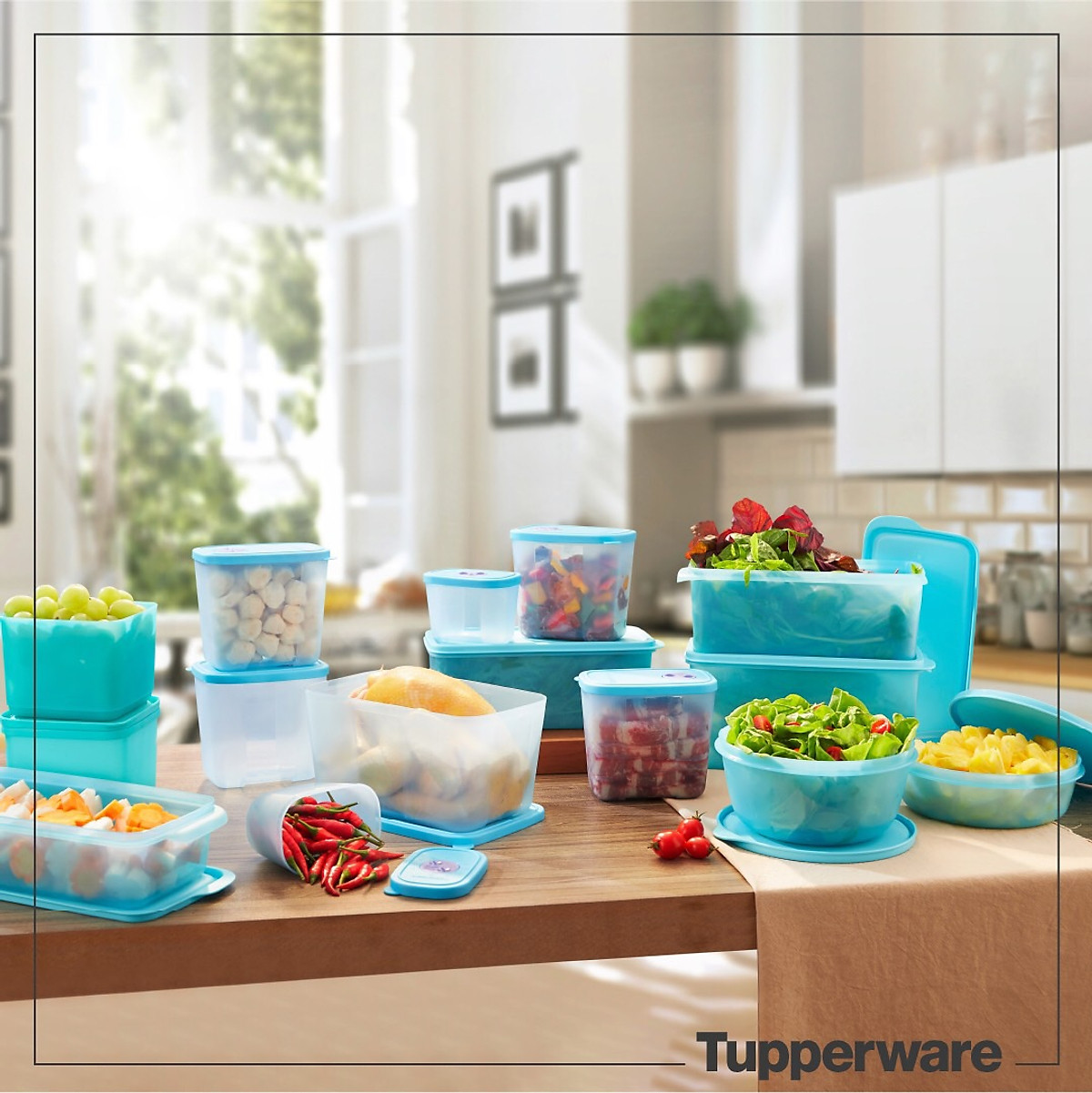 Tupperware chính hãng - Bộ hộp trữ mát & trữ đông Blue Ocean