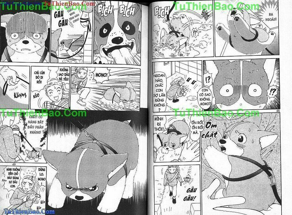 chó con mo mo chapter 2 25
