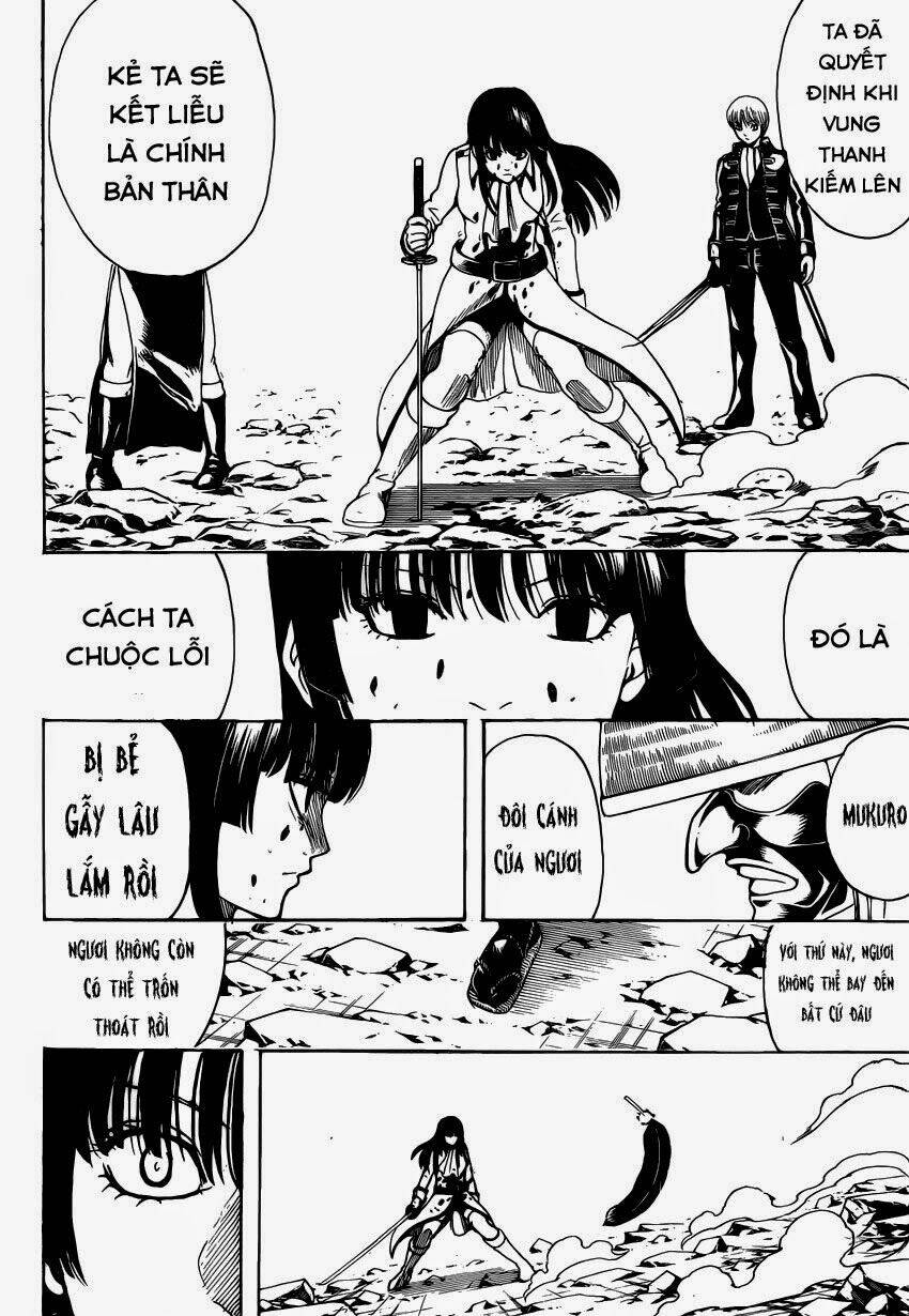 gintama - linh hồn bạc chapter 542 7