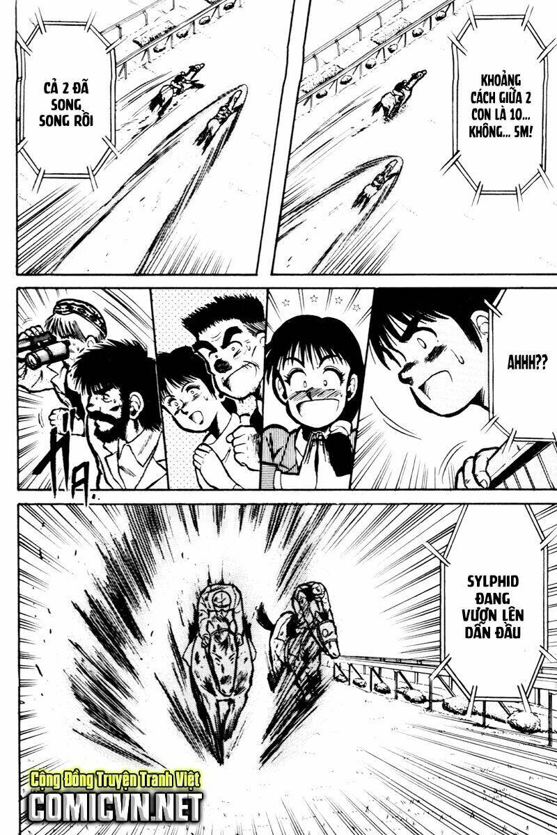 kaze no sylphid - phong mã silphid chapter 15 8