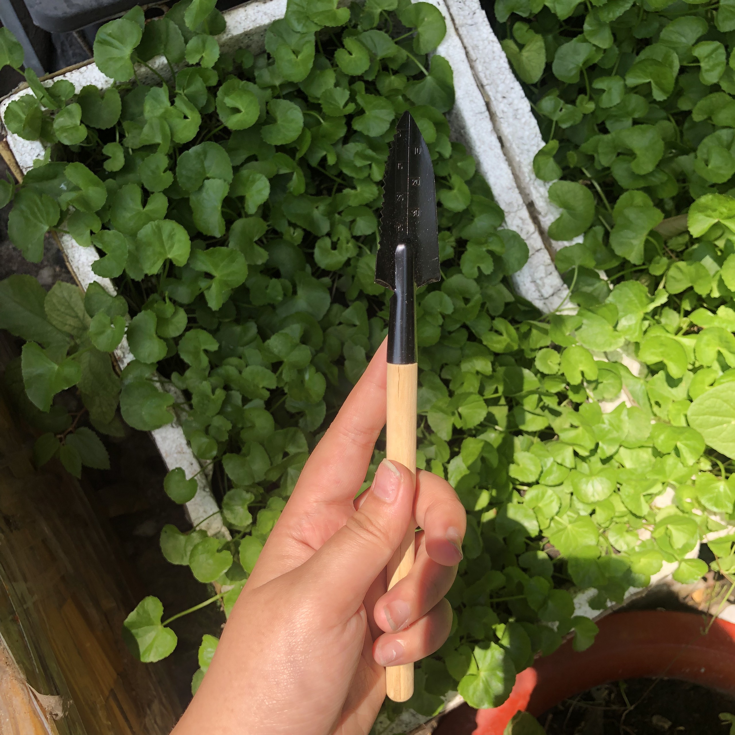 Bộ Dụng Cụ Cáng Gỗ Làm Vườn 3 Món Nhiều Size