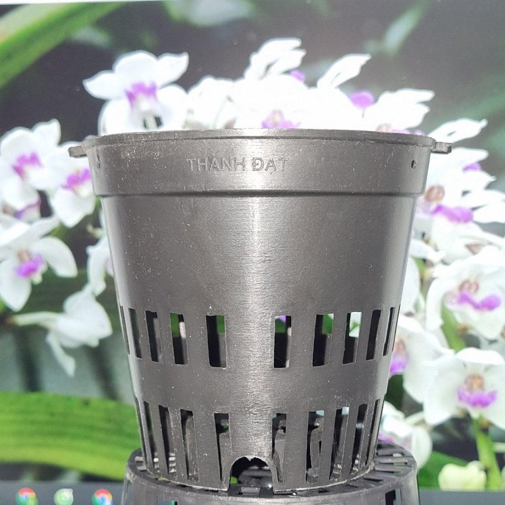 Chậu Nhựa đen Trồng Lan phi 11 Bền, Dẻo, có khe Treo chậu-77310