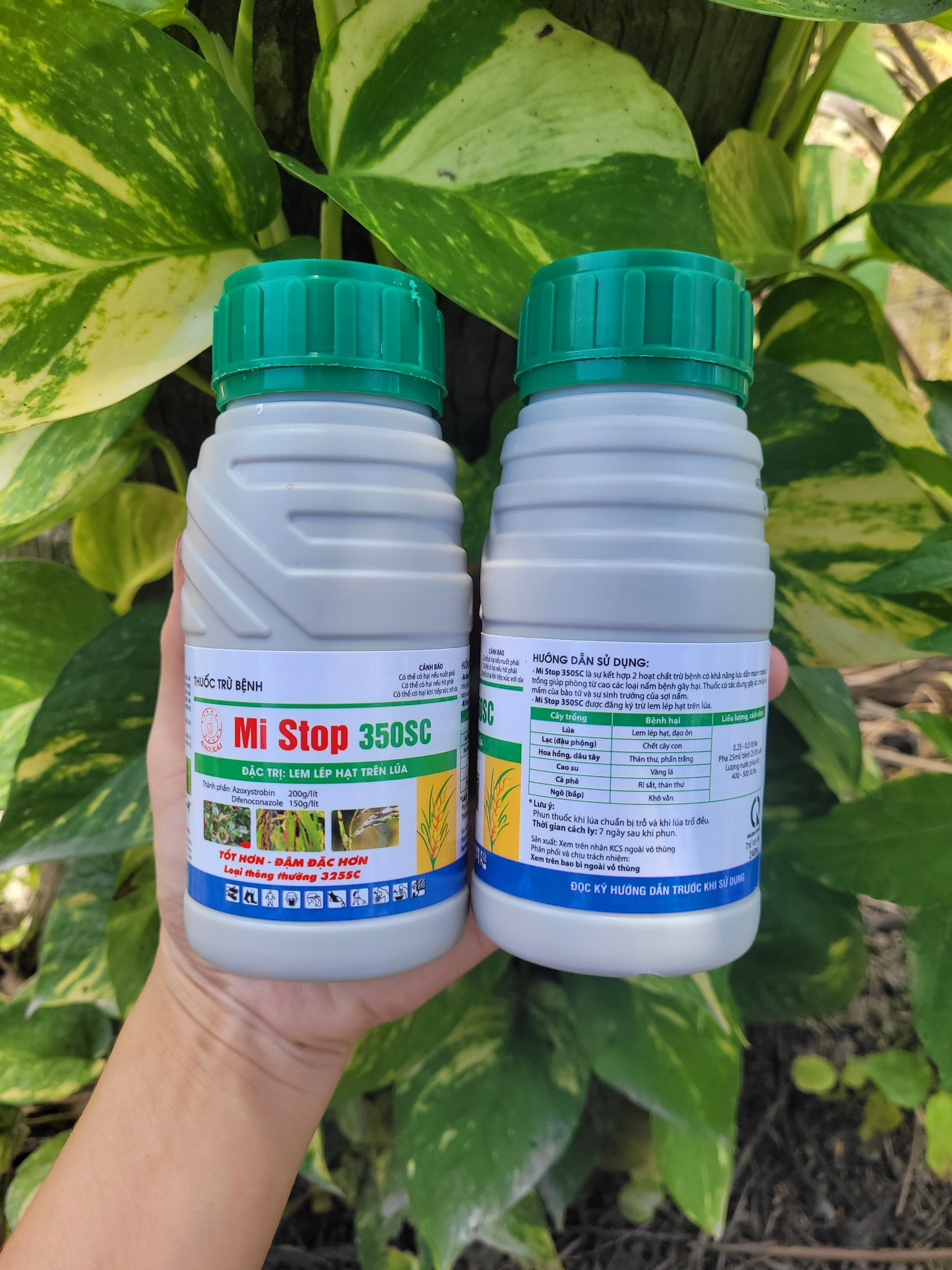 Trừ bệnh lem lép hạt lúa, rỉ sắt, thán thư Mi Stop 350SC ( Mistop ) chai 240ml