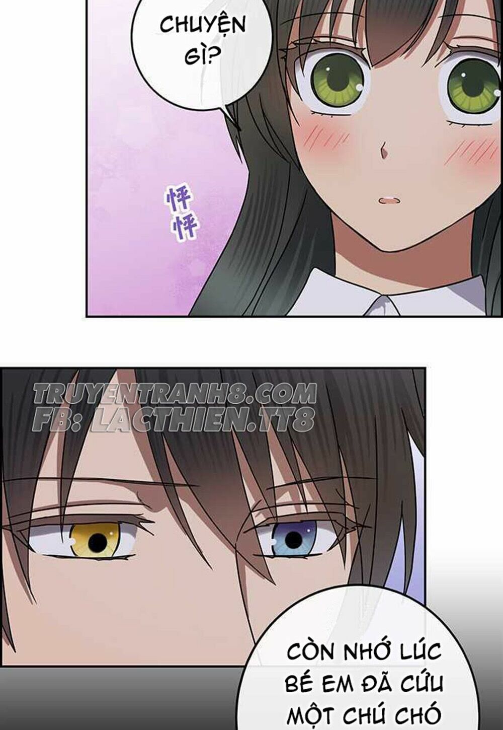 nụ hôn nguyền rủa chapter 78 4