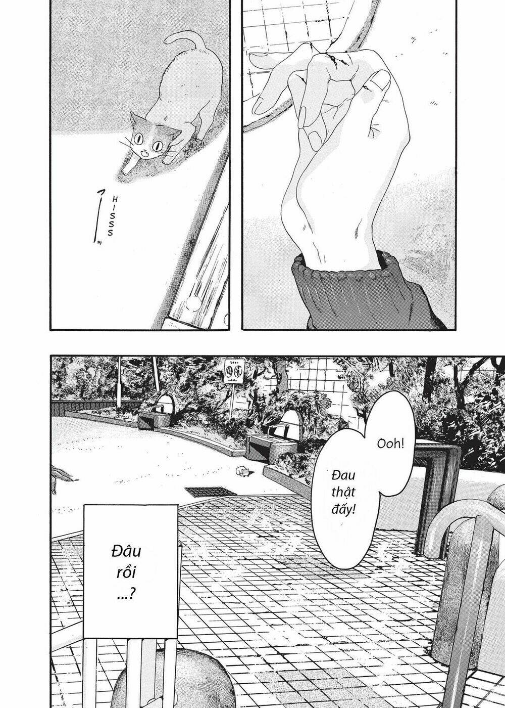 chú mèo và cô chủ chapter 4 6