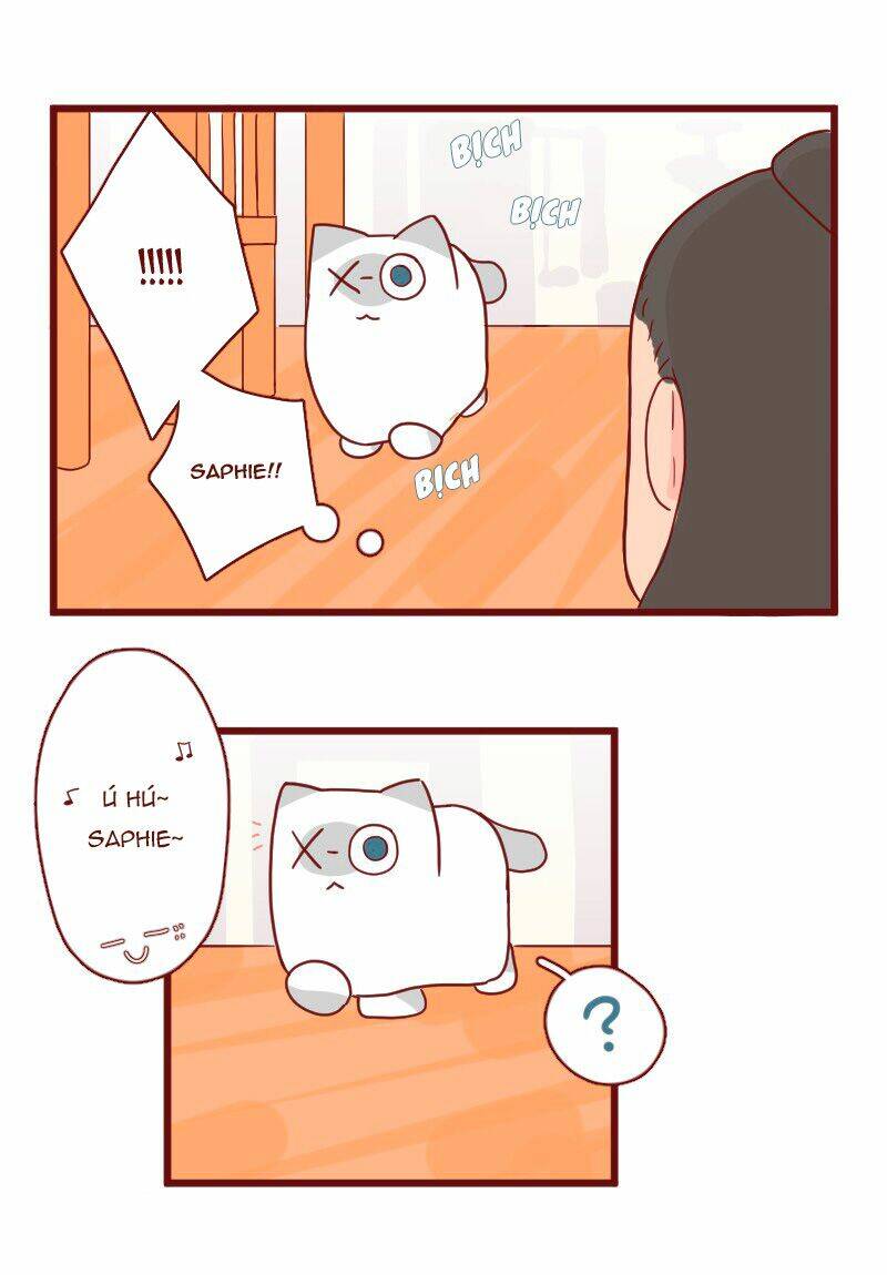 saphie: chú mèo một mắt chapter 17 6