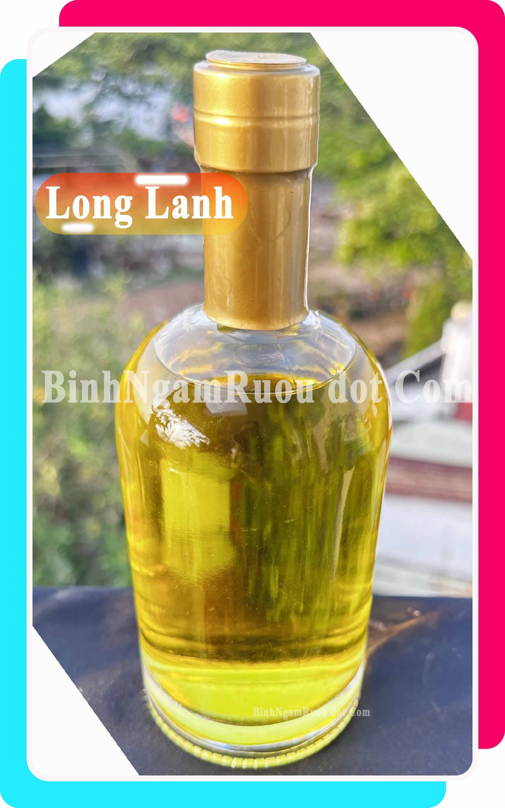 [Mua 10 Tặng 2 ] C40 Chai Đựng Rượu Thủy Tinh Hình Tròn Bầu Cao Cấp 500ml - Đẹp Cao Cấp - Nắp Kín Thủy Tinh Trong - Tặng Biếu Sang Trọng