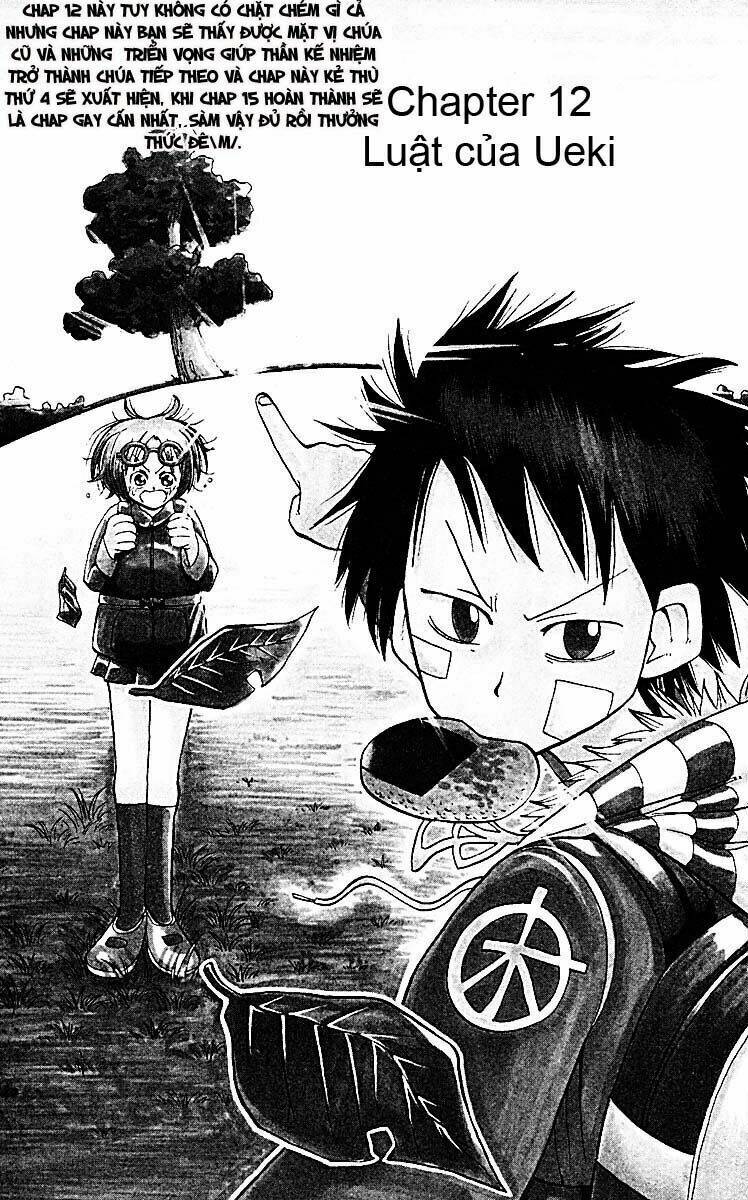 law of ueki plus chapter 12 1