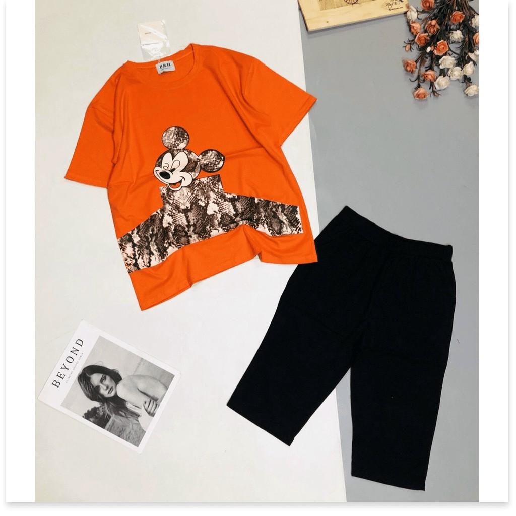 Đồ mặc nhà nữ siêu siêu xinh đẹp , thun cotton cực xịn THỜI TRANG KING FASHION