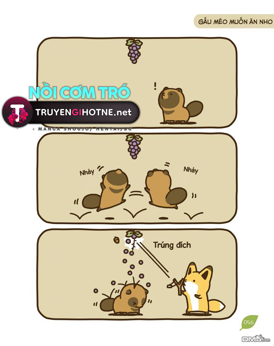 cáo và gấu mèo chapter 11 15