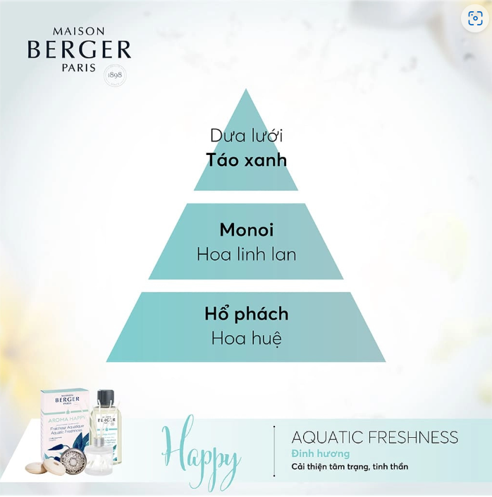 Maison Berger - Bộ tinh dầu xe hơi hương Aroma Happy - 2 cái