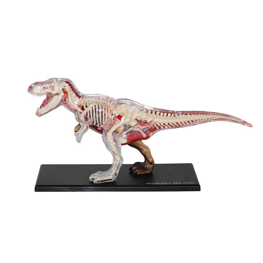 Đồ Chơi Mô Hình Giải Phẫu 4D - Khủng Long T-Rex 4D Master 622013