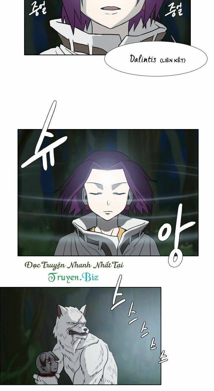 m. m. g. chapter 11 15