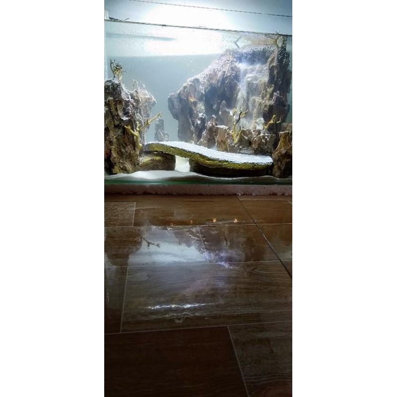 Thác cát bể cá cảnh