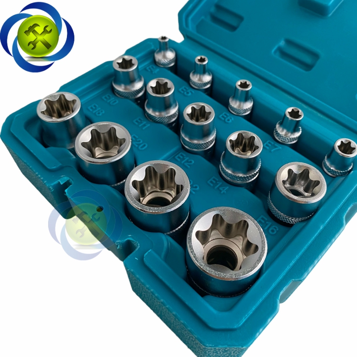 Bộ tuýp sao đầu E 14 chi tiết TOTAL THKTETS0114