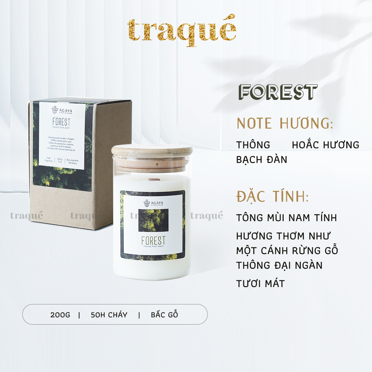 Nến thơm tinh dầu cao cấp không khói an toàn Candle Cup - FOREST/HƯƠNG RỪNG - M - 200G