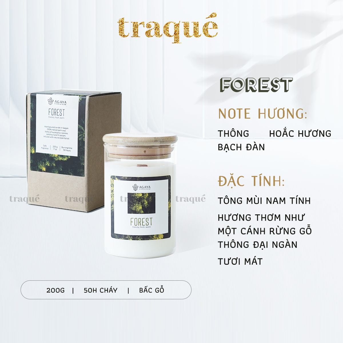 Nến thơm tinh dầu cao cấp không khói an toàn Candle Cup - FOREST/HƯƠNG RỪNG - M - 200G (CÓ NẮP)