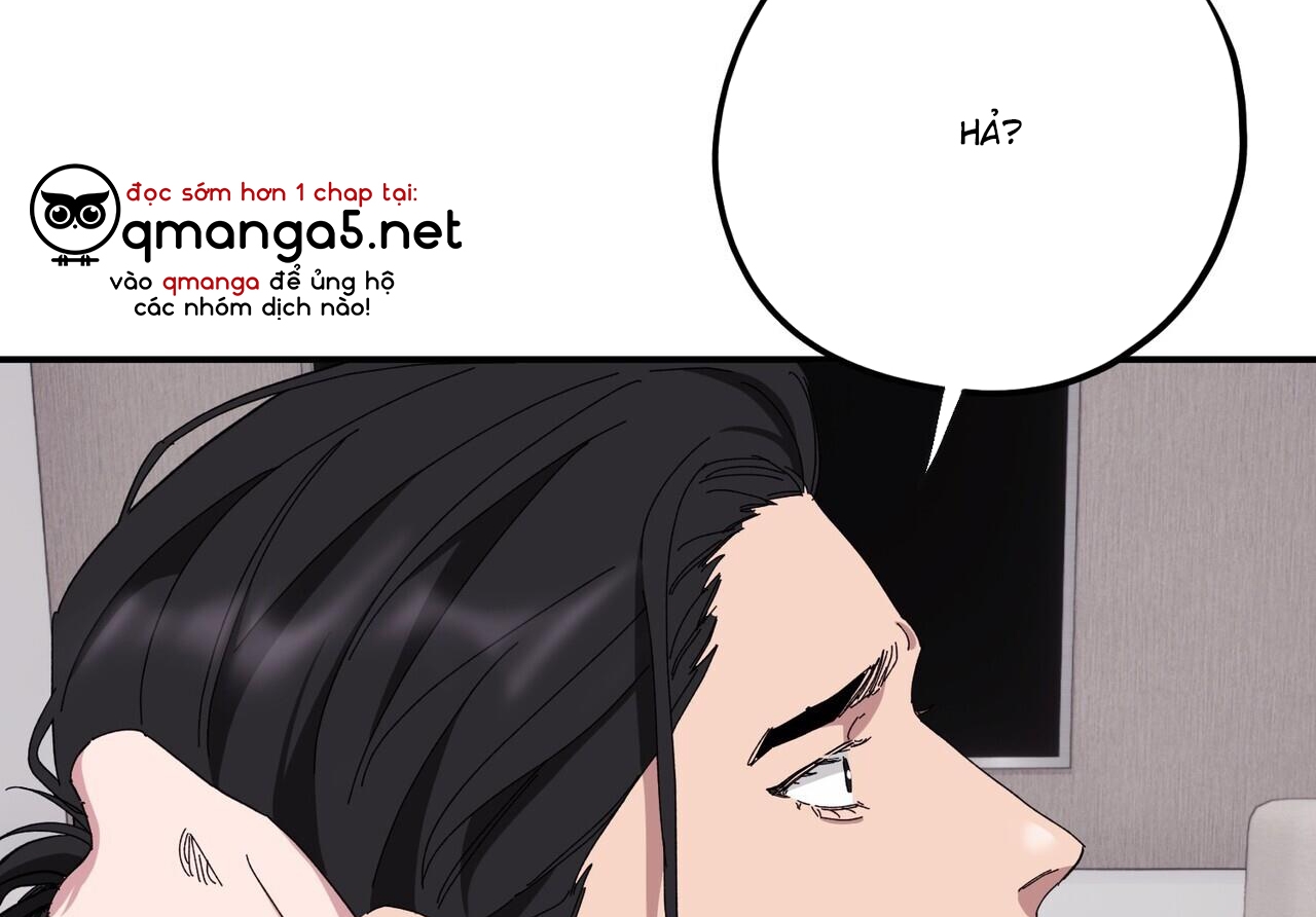 chàng dâu nhà họ kang chapter 34 2