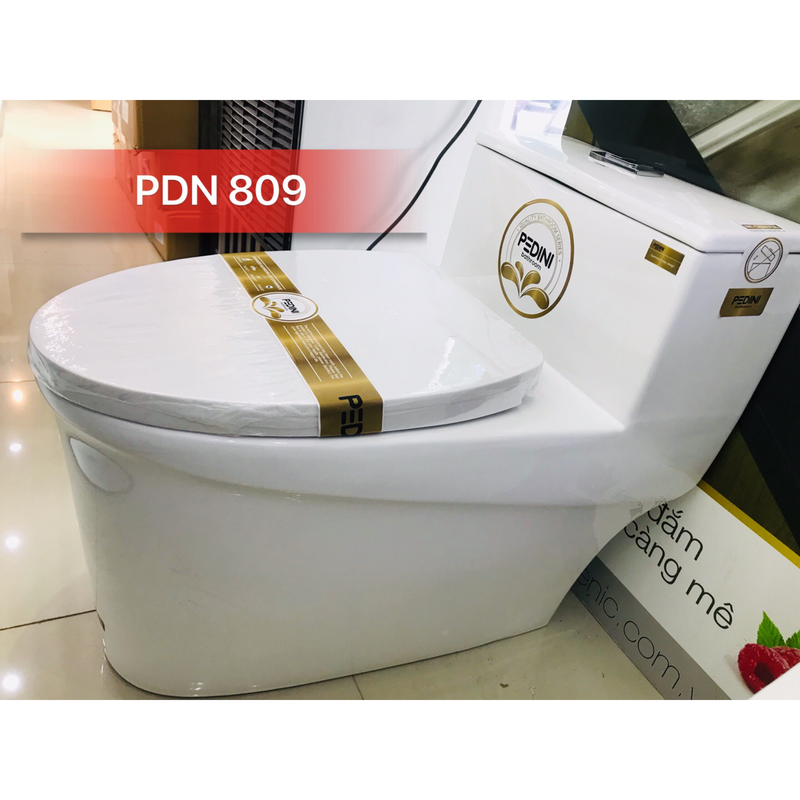 Bệt vệ sinh liền khối PDN 809 - Hàng Chính Hãng