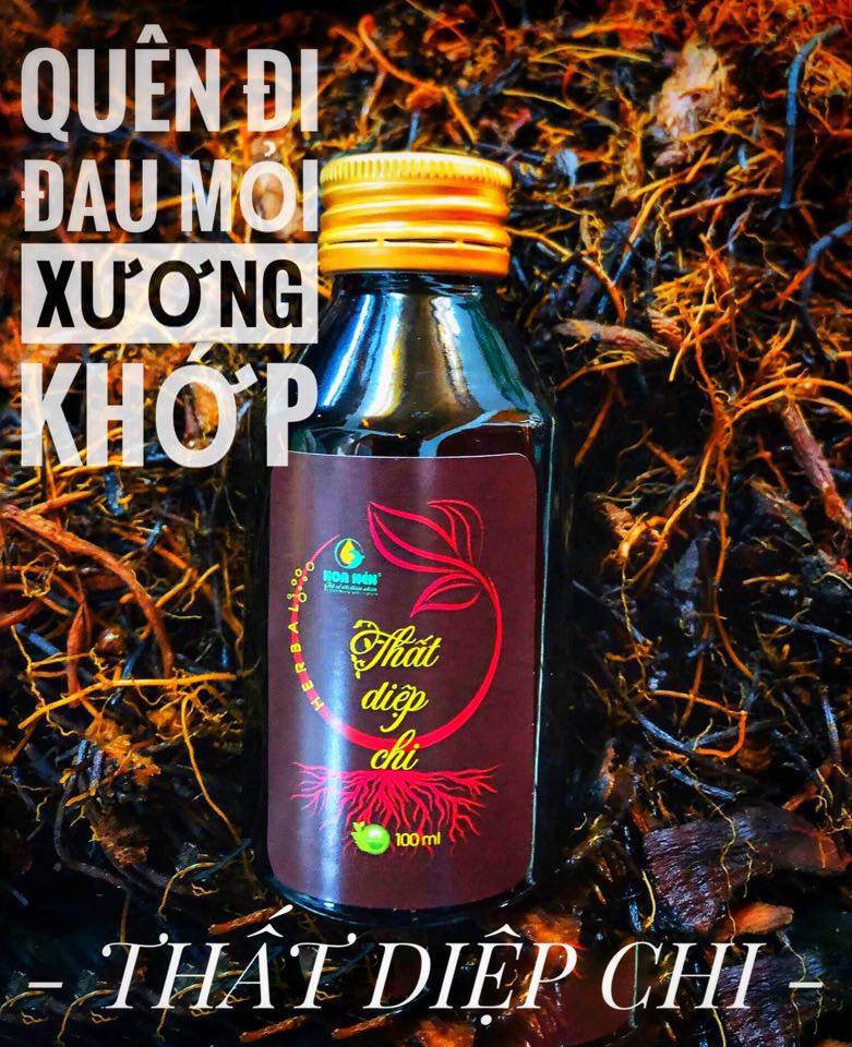 Tinh dầu xoa bóp Thất Diệp Chi - Hoa Nén - Giảm đau lưng, nhức mỏi, bầm tím - 100ml