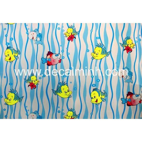 Combo 6m / 8m / 10m Dán Kính 3D Nhiều Màu