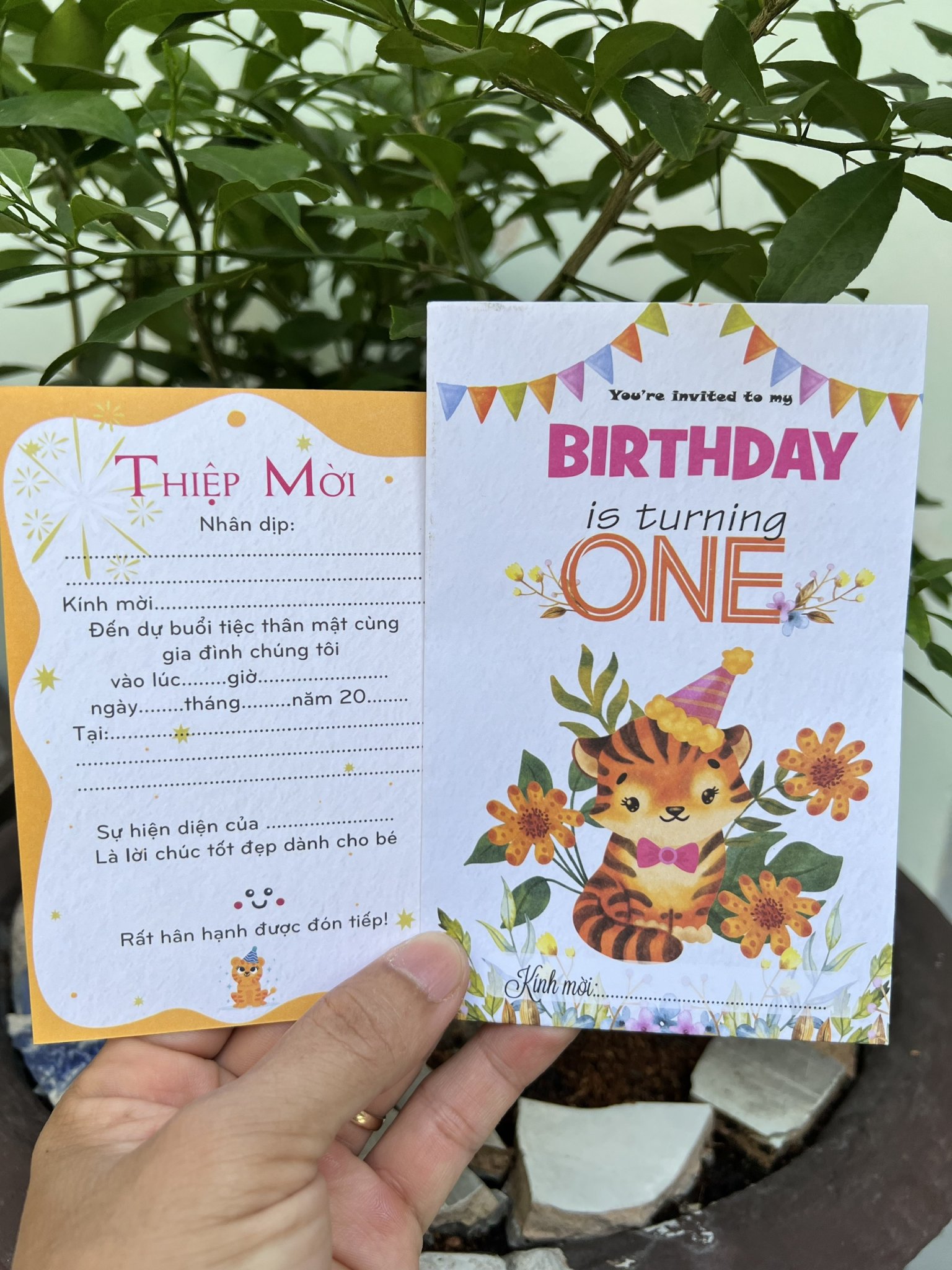 Combo 20 thiệp mời thôi nôi bé tuổi cọp gái