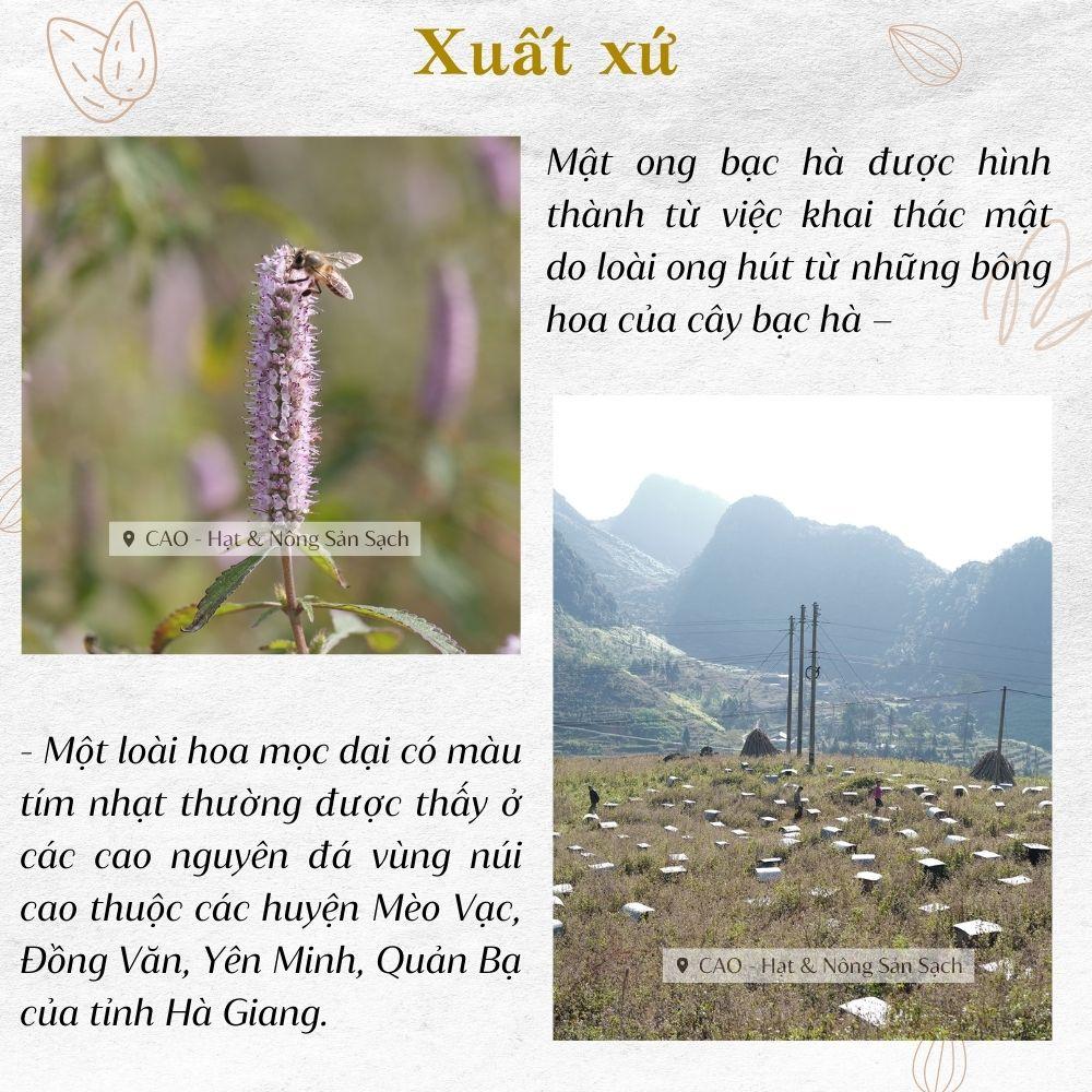 Mật ong hoa bạc hà CAO Food từ Hà Giang - cam kết mật ong nguyên chất nguyên vị 100%