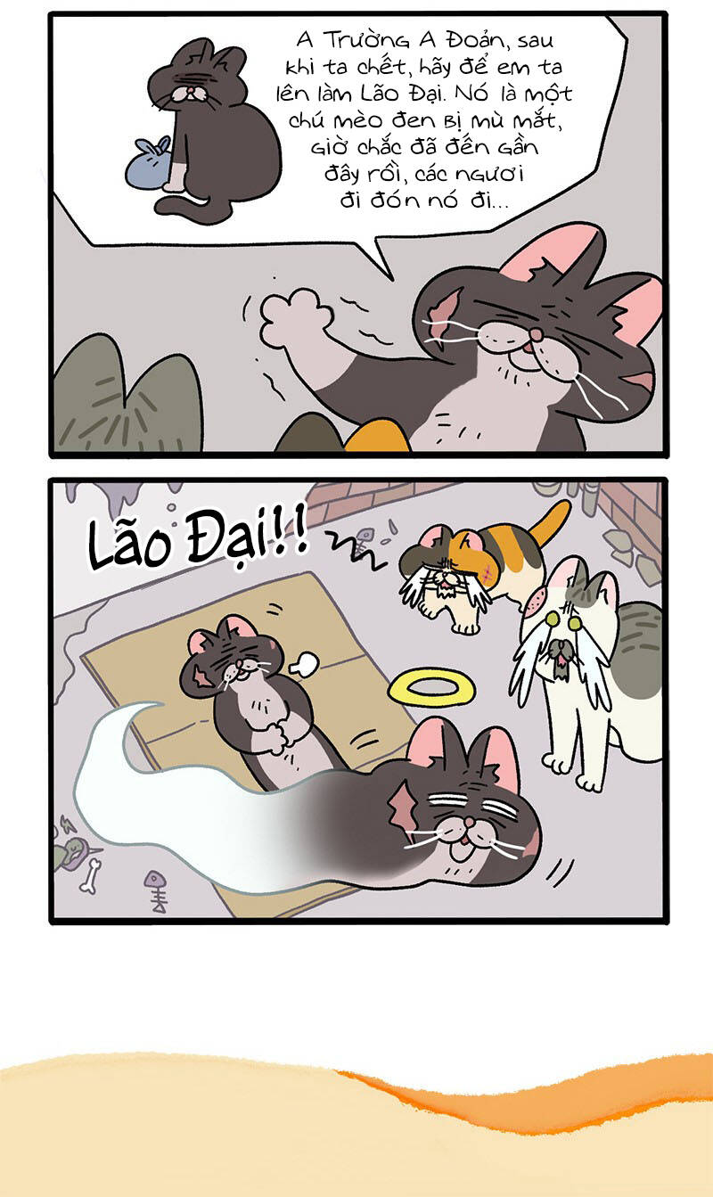 a mãn và mạch trà chapter 37 6