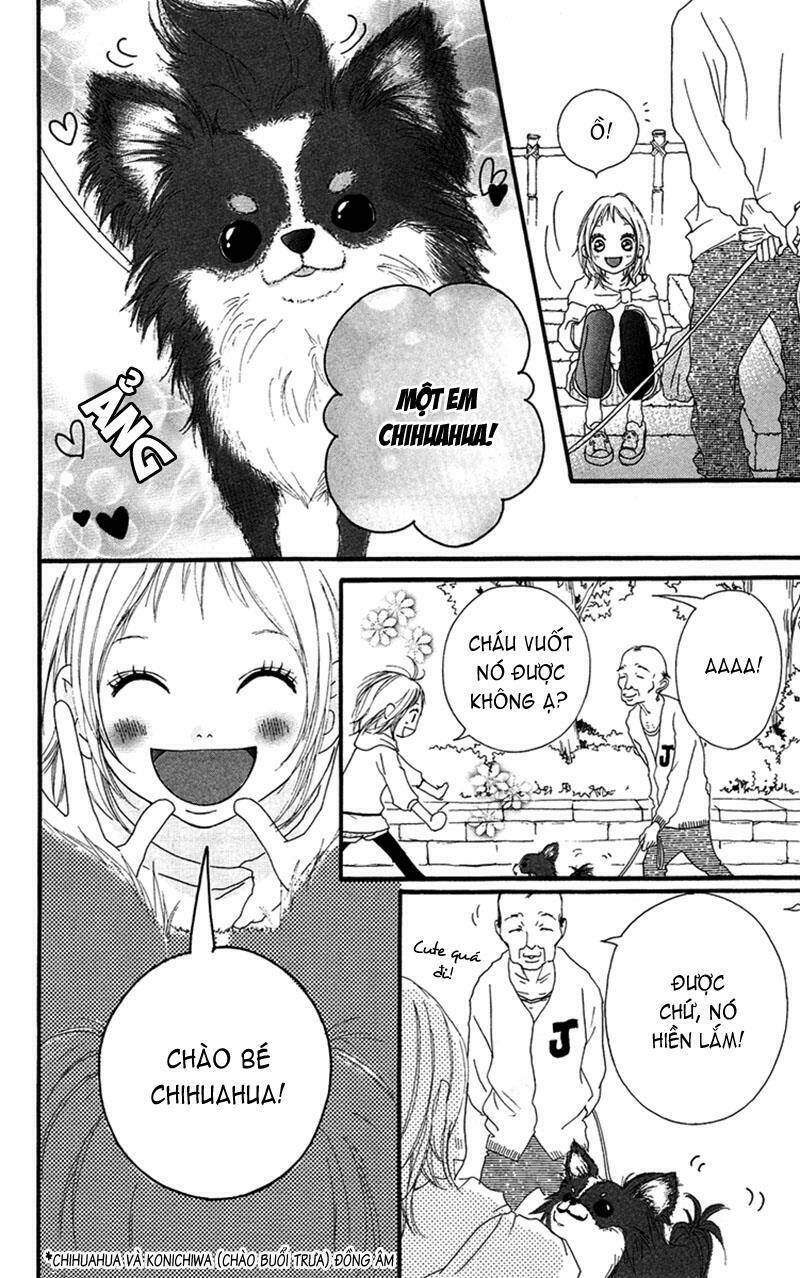 tình yêu học trò chapter 23 31