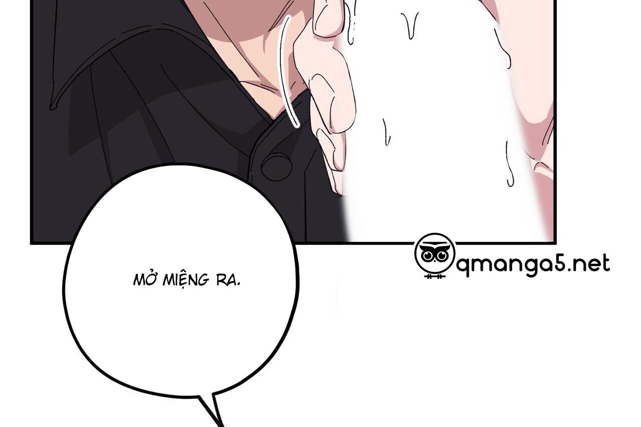 chàng dâu nhà họ kang chapter 34 103