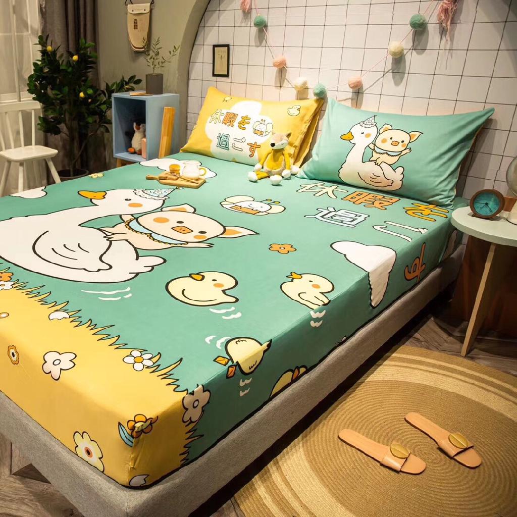COTTON CAO CẤP Cotton Demi