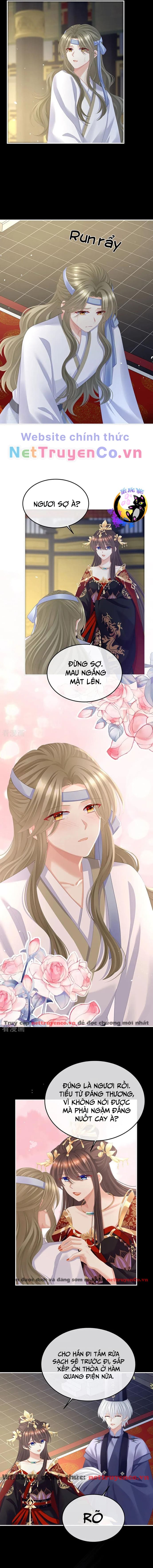 hậu cung của nữ đế - mùa 2 chapter 36 2