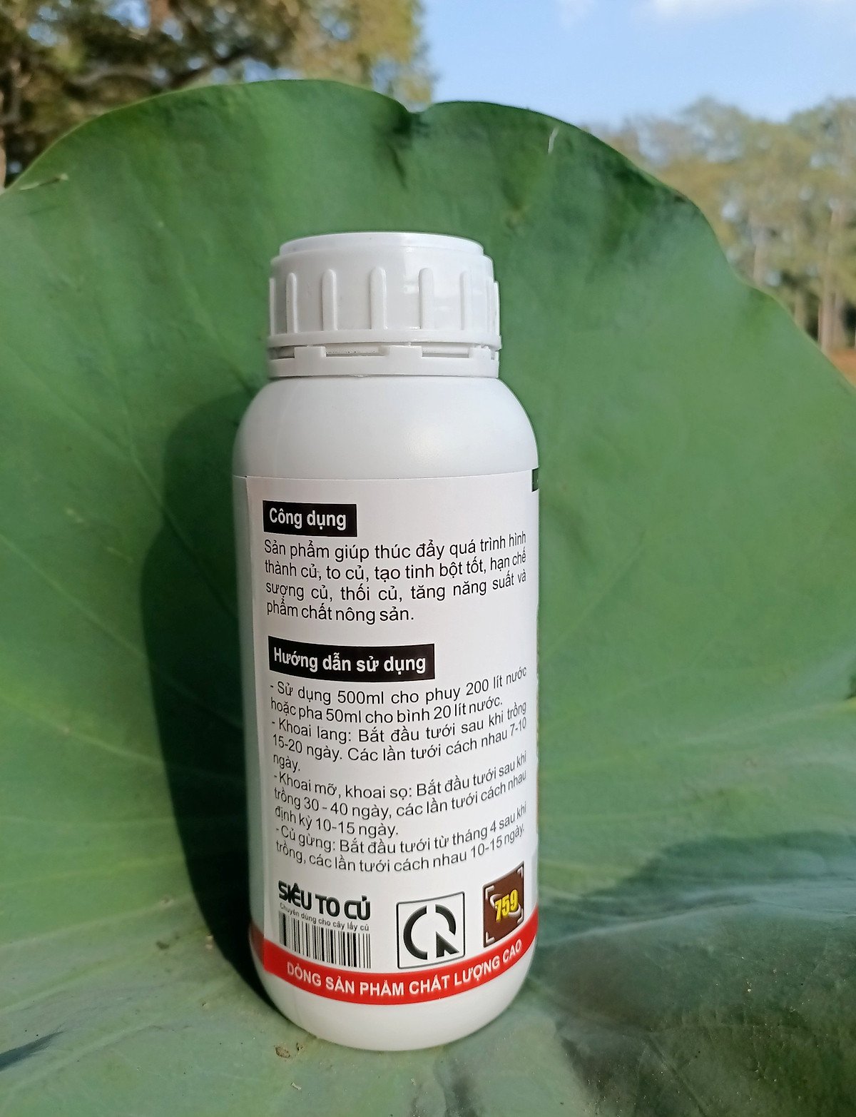 SIÊU TO CỦ CHAI 500ML - Giúp tăng kích thước củ, giúp củ to, phì củ, nặng ký, chắc vỏ, không thối củ