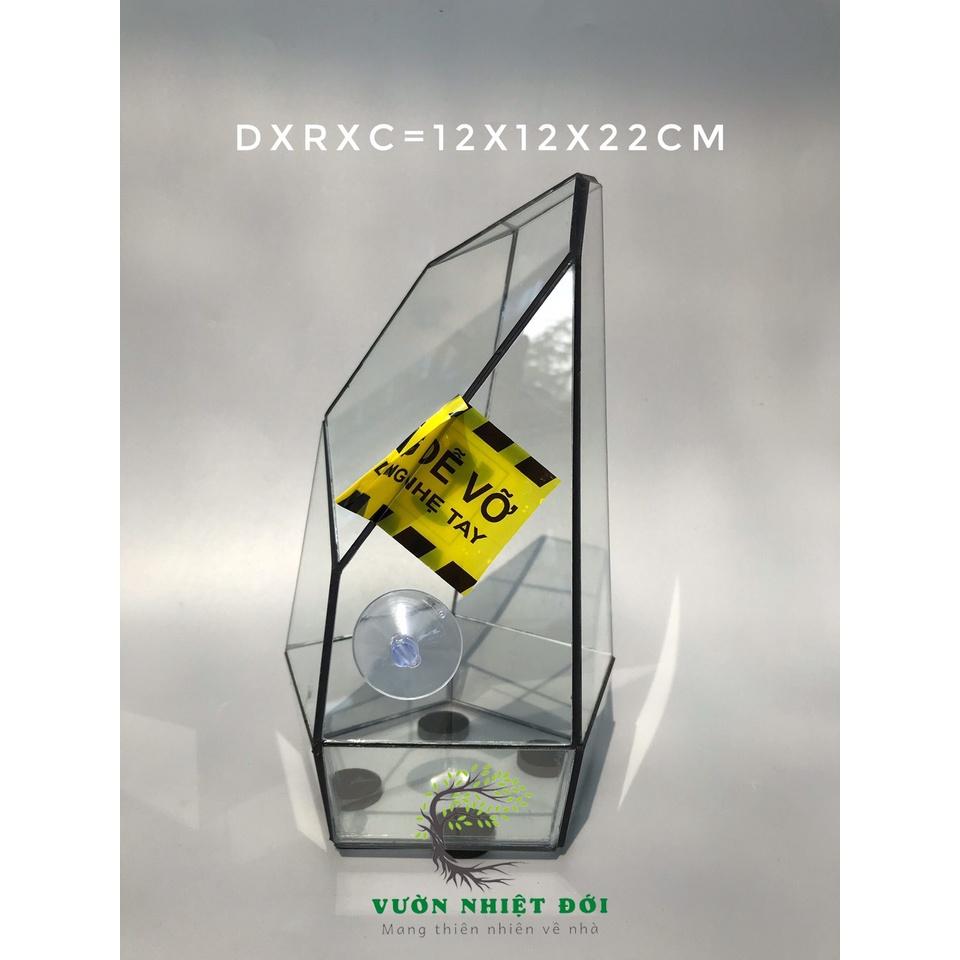 Bể Terrarium Đa Giác Setup Bán Cạn Để Bàn Làm Việc